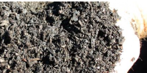 mulch soil